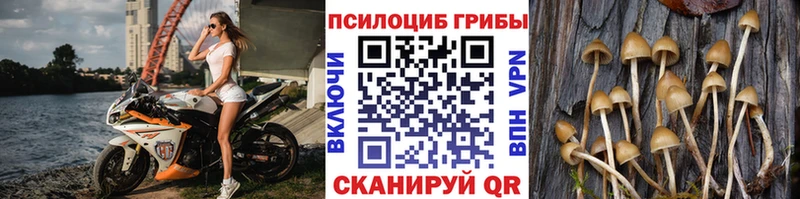 Галлюциногенные грибы ЛСД blacksprut сайт Пермь